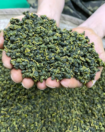 依然茶葉