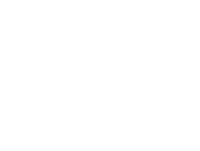 依然茶葉